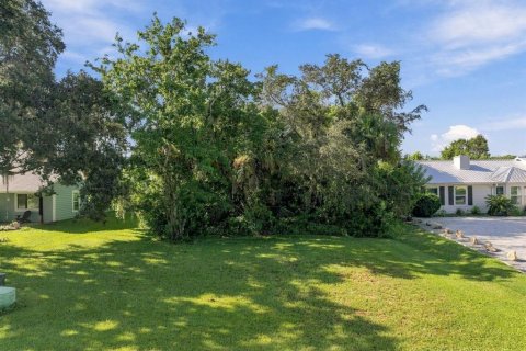 Land in New Smyrna Beach, Florida № 2368611