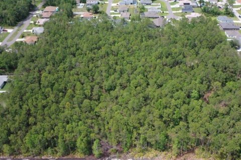 Terrain à vendre à Palm Coast, Floride № 2129143 - photo 6