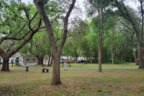 Propiedad comercial en venta en Zephyrhills, Florida № 1829726 - foto 25