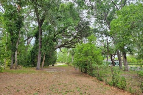 Propiedad comercial en venta en Zephyrhills, Florida № 1829726 - foto 11