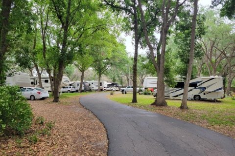 Propiedad comercial en venta en Zephyrhills, Florida № 1829726 - foto 8