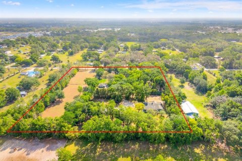 Propiedad comercial en venta en Zephyrhills, Florida № 1829726 - foto 3