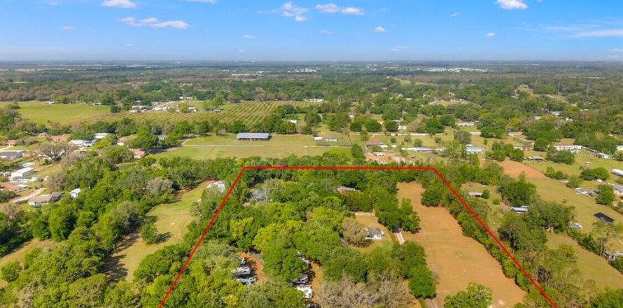 Propiedad comercial en Zephyrhills, Florida № 1829726