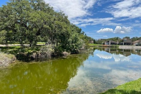 Condo in Oldsmar, Florida, 2 bedrooms  № 1795343 - photo 22