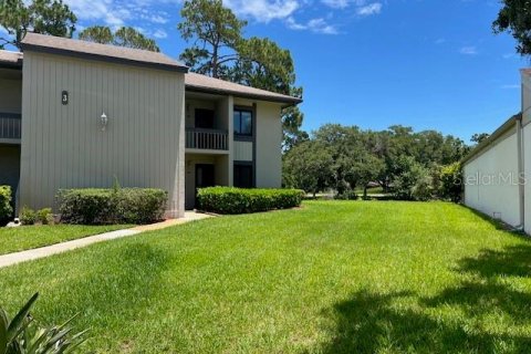 Condo in Oldsmar, Florida, 2 bedrooms  № 1795343 - photo 1