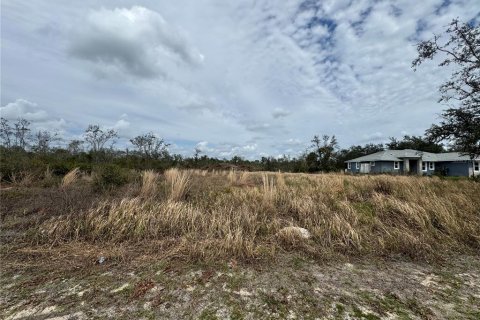 Land in Arcadia, Florida № 2158789 - photo 3