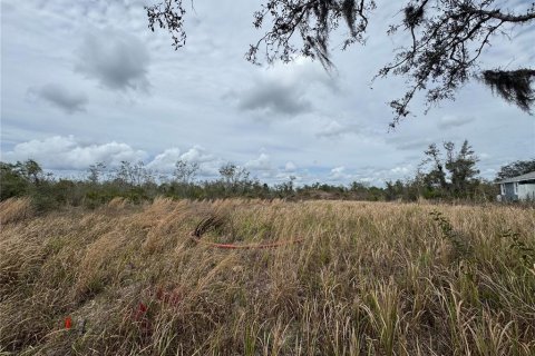 Terreno en Arcadia, Florida № 2158789