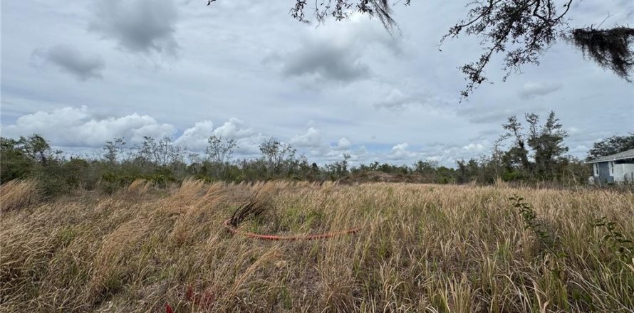Land in Arcadia, Florida № 2158789