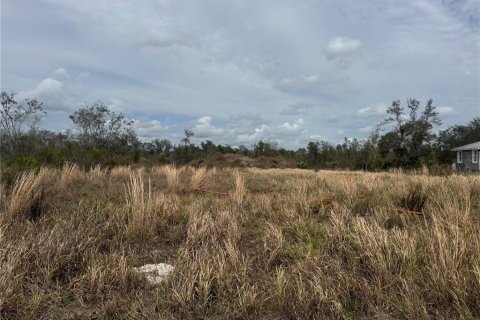 Land in Arcadia, Florida № 2158789 - photo 5