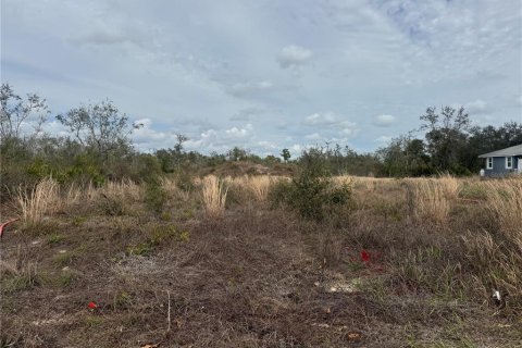 Land in Arcadia, Florida № 2158789 - photo 4