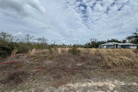 Land in Arcadia, Florida № 2158789 - photo 2