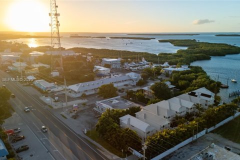 Casa en venta en Islamorada, Village of Islands, Florida, 3 dormitorios, 164.25 m2 № 1992991 - foto 13