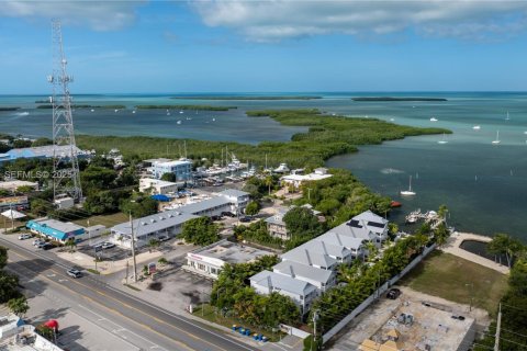 Casa en venta en Islamorada, Village of Islands, Florida, 3 dormitorios, 164.25 m2 № 1992991 - foto 19