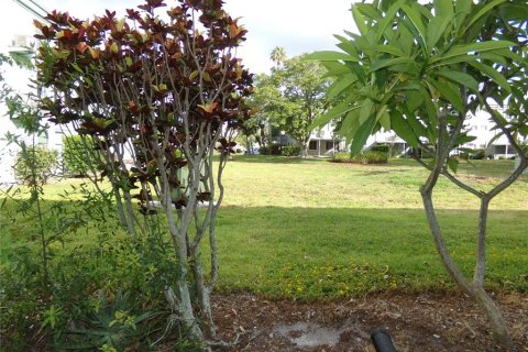 Copropriété à vendre à Clearwater, Floride: 1 chambre, 76.64 m2 № 2093662 - photo 13
