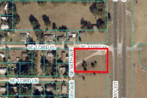 Land in Summerfield, Florida № 223902 - photo 1