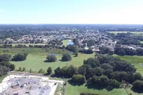 Land in Summerfield, Florida № 223902 - photo 4