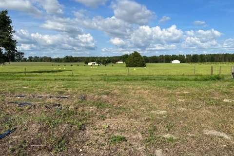 Commercial property in Morriston, Florida № 1562879 - photo 4