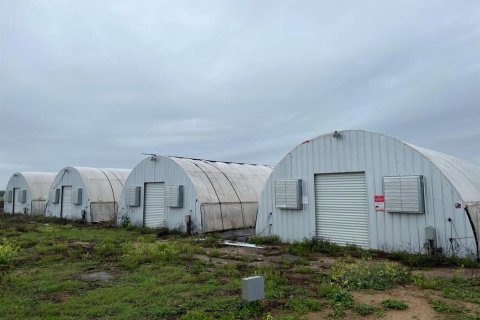Commercial property in Morriston, Florida № 1562879 - photo 21