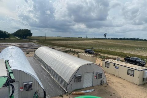 Commercial property in Morriston, Florida № 1562879 - photo 2
