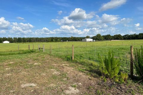 Commercial property in Morriston, Florida № 1562879 - photo 18