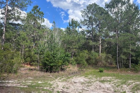 Terrain à vendre à Citra, Floride № 2213572 - photo 4