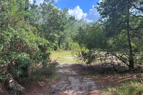 Terrain à vendre à Citra, Floride № 2213572 - photo 6