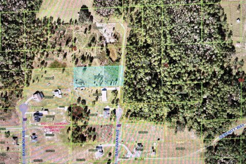 Terreno en venta en Polk City, Florida № 2108290 - foto 2