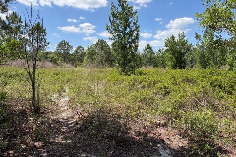 Terrain à Polk City, Floride № 2108290