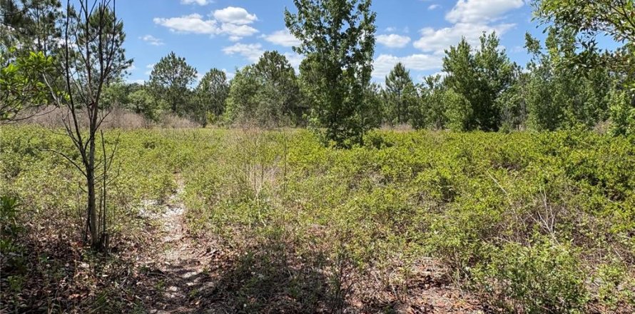 Terreno en Polk City, Florida № 2108290