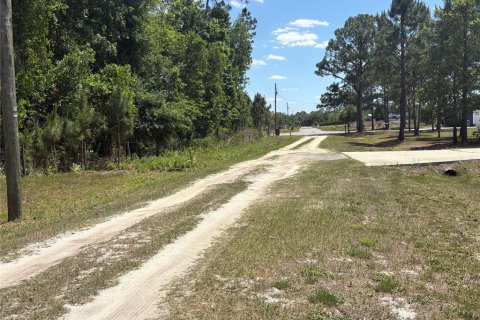 Terreno en venta en Polk City, Florida № 2108290 - foto 5