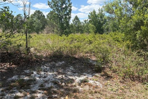 Terreno en venta en Polk City, Florida № 2108290 - foto 4