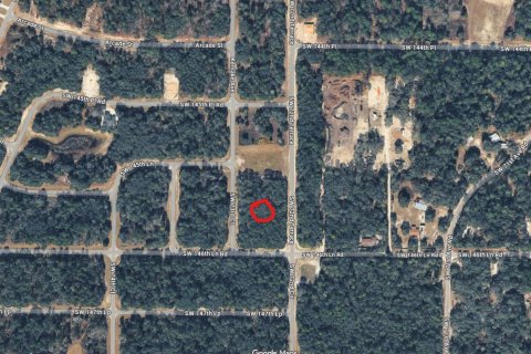 Propiedad comercial en Ocala, Florida № 2251906