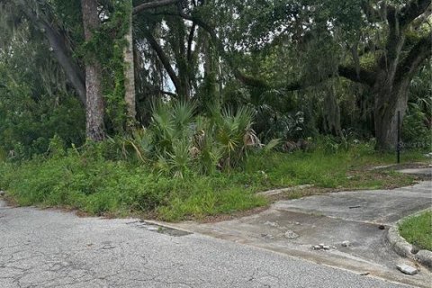 Terreno en venta en Sanford, Florida № 1901169 - foto 9