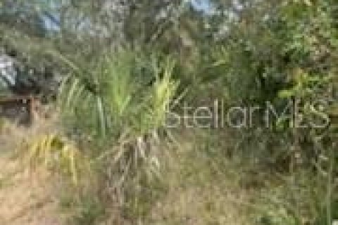 Terreno en venta en Sanford, Florida № 1901169 - foto 7