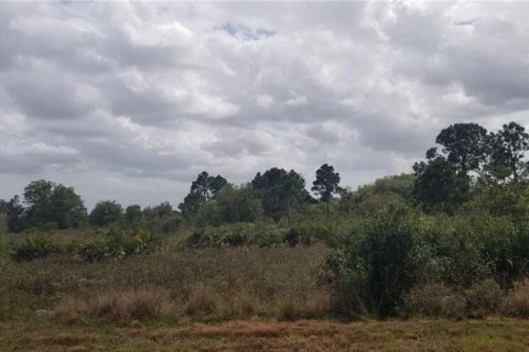 Propiedad comercial en Okeechobee, Florida № 2183068