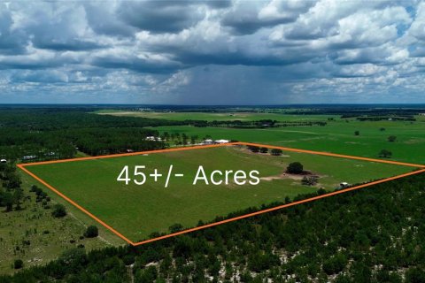 Land in Morriston, Florida № 2227538