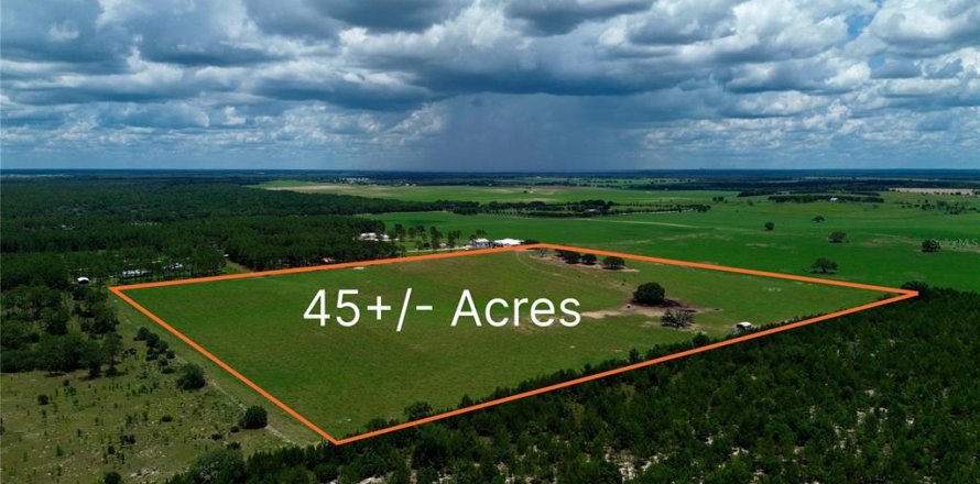 Land in Morriston, Florida № 2227538