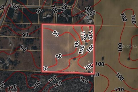 Land in Morriston, Florida № 2227538 - photo 7