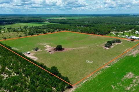 Land in Morriston, Florida № 2227538 - photo 5