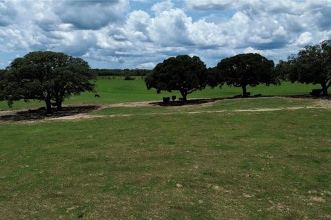 Land in Morriston, Florida № 2227538 - photo 2