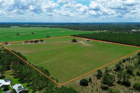 Land in Morriston, Florida № 2227538 - photo 3