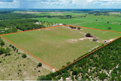 Land in Morriston, Florida № 2227538 - photo 4