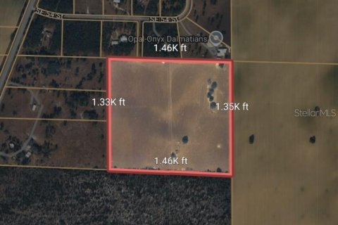 Land in Morriston, Florida № 2227538 - photo 6