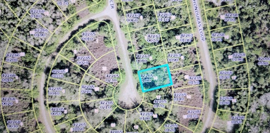 Land in Lehigh Acres, Florida № 1865289