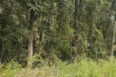 Terrain à Dunnellon, Floride № 2139437