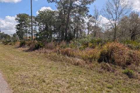 Land in Indian lake estates, Florida № 2224505 - photo 6