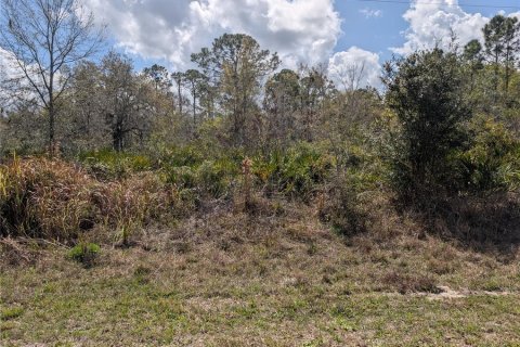 Land in Indian lake estates, Florida № 2224505 - photo 3