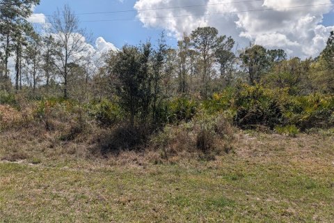 Land in Indian lake estates, Florida № 2224505 - photo 2