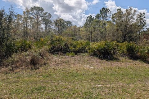 Land in Indian lake estates, Florida № 2224505