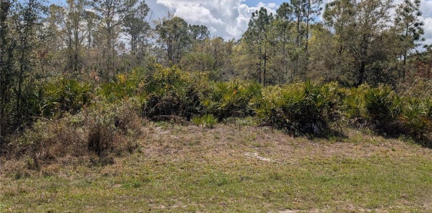 Land in Indian lake estates, Florida № 2224505